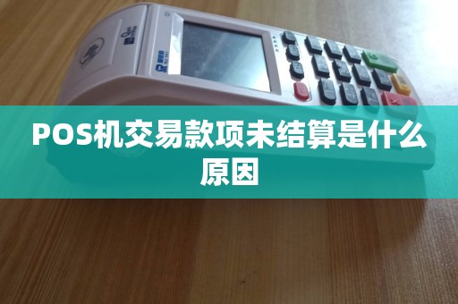 POS機交易款項未結(jié)算原因解析 聚焦結(jié)算設(shè)備因素